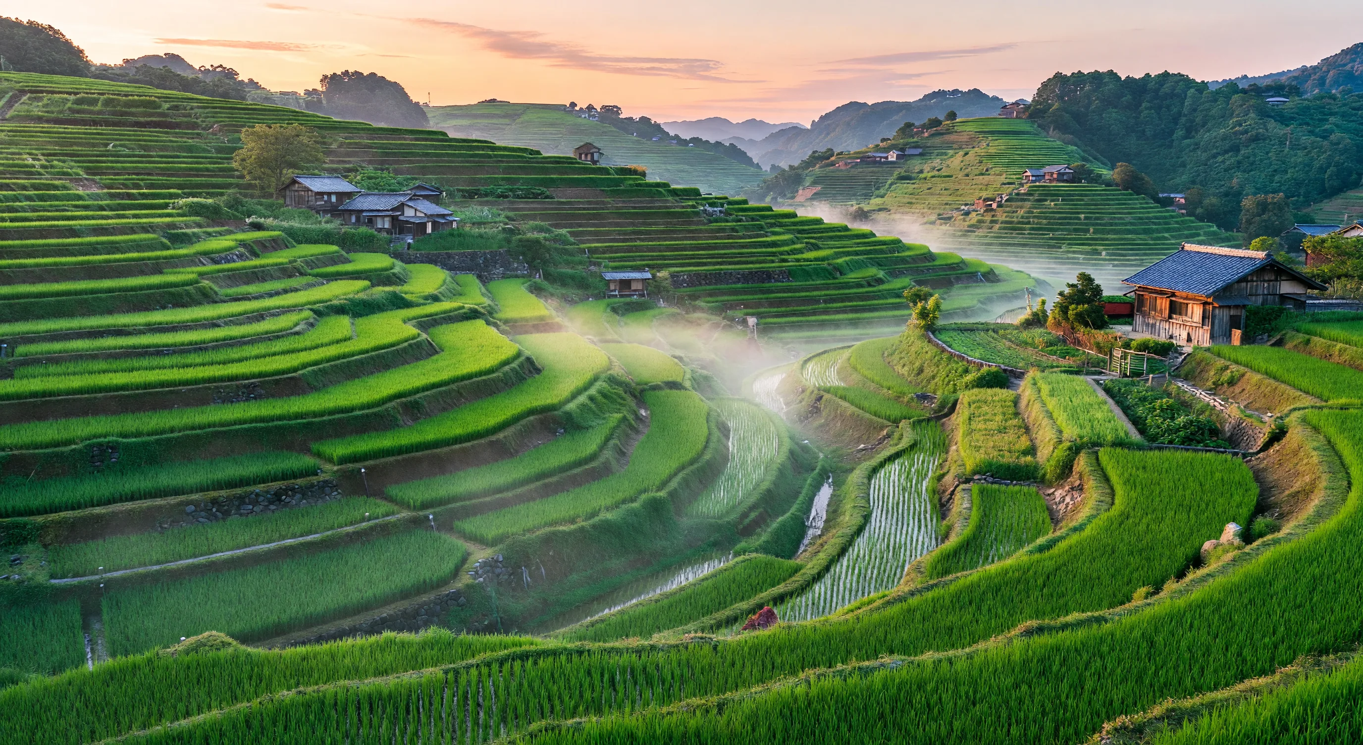 Dramatic Hokkaido landscape at sunrise, terraced hills and mist